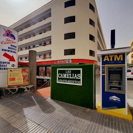 Las Camelias Apartments Ci15 普拉亚戴尔雷安格莱斯 外观 照片