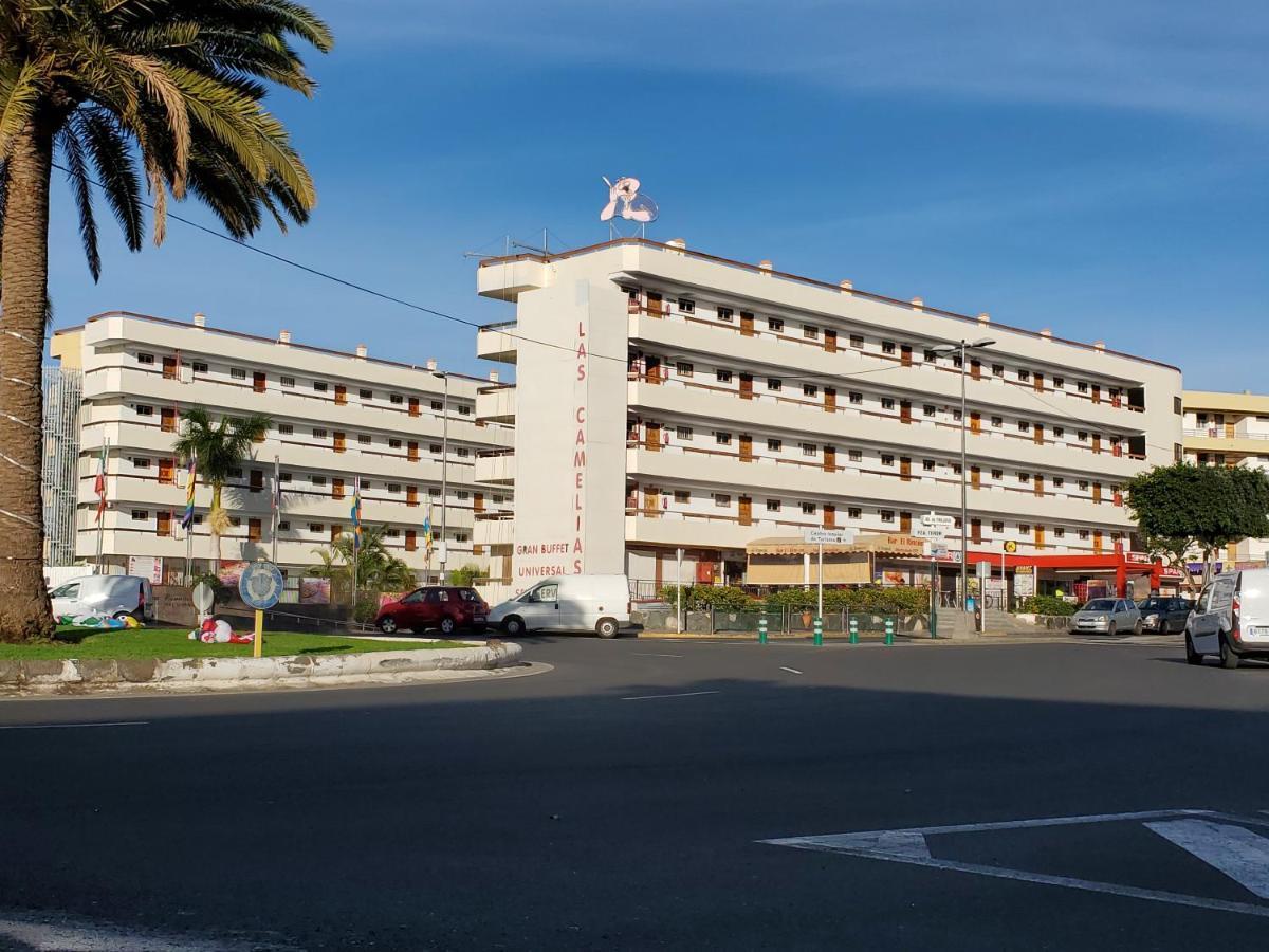 Las Camelias Apartments Ci15 普拉亚戴尔雷安格莱斯 外观 照片