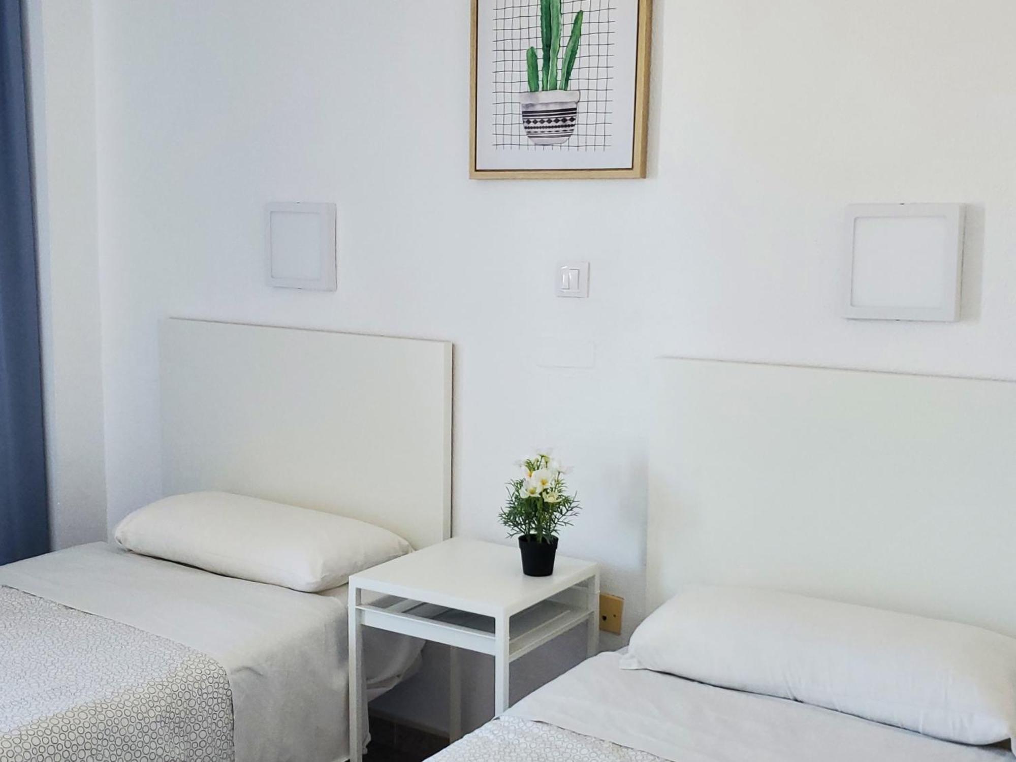 Las Camelias Apartments Ci15 普拉亚戴尔雷安格莱斯 外观 照片