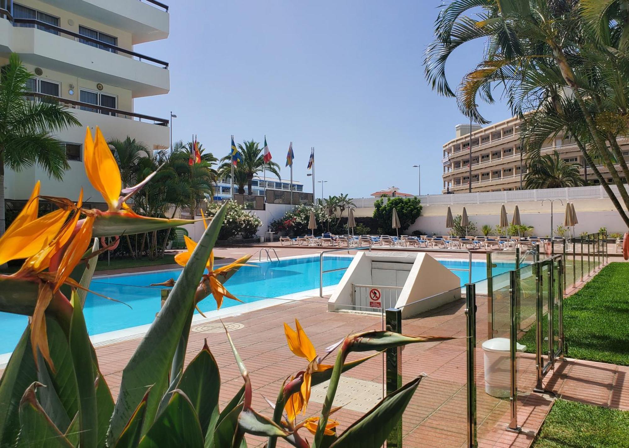 Las Camelias Apartments Ci15 普拉亚戴尔雷安格莱斯 外观 照片